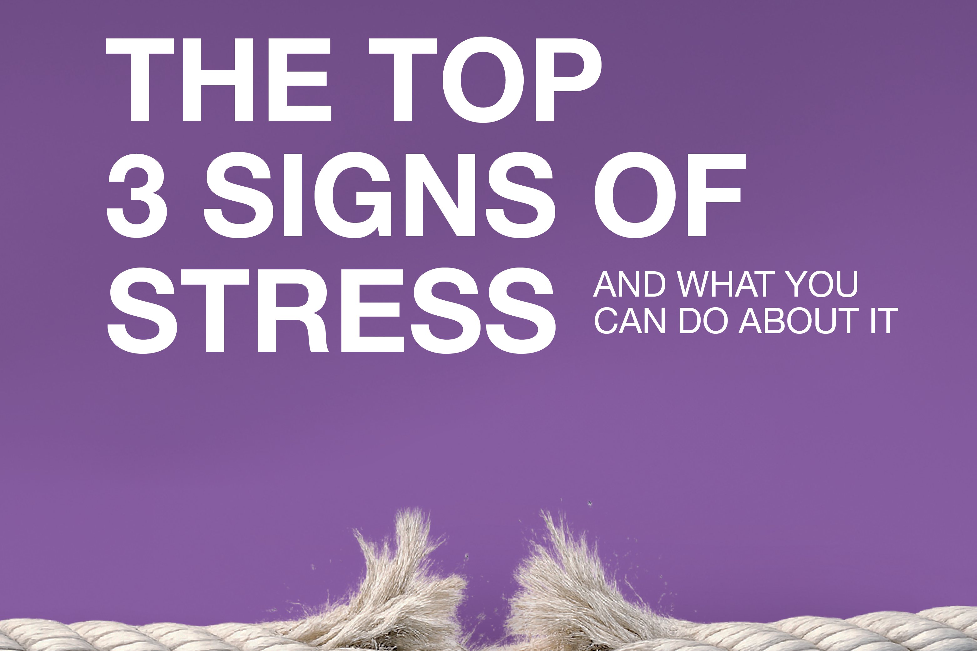 What Are the Signs That Stress Is Affecting My Health? – Metagenics ...