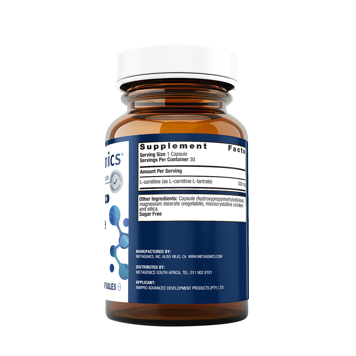 l carnitine south africa Acetyl L Carnitine 500mg – Holistix main image 0