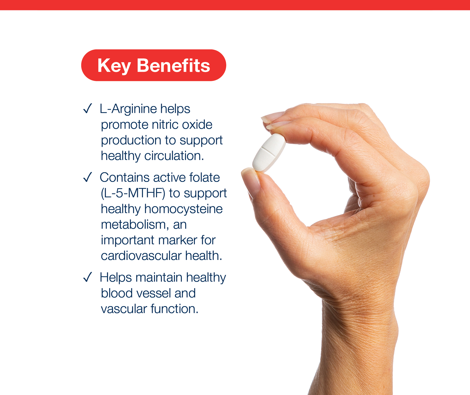 A hand holding a white oval tablet against a white background with a red header reading 'Key Benefits' and three bullet points about L-arginine, folate, and blood vessel health.
