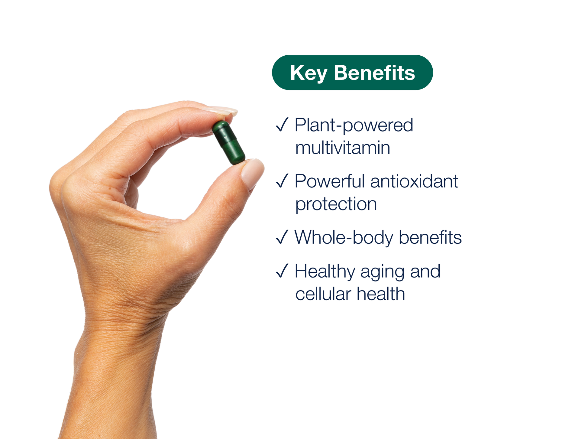 Hand holding a PhytoMulti Multivitamin capsule beside key product benefits and Metagenics branding