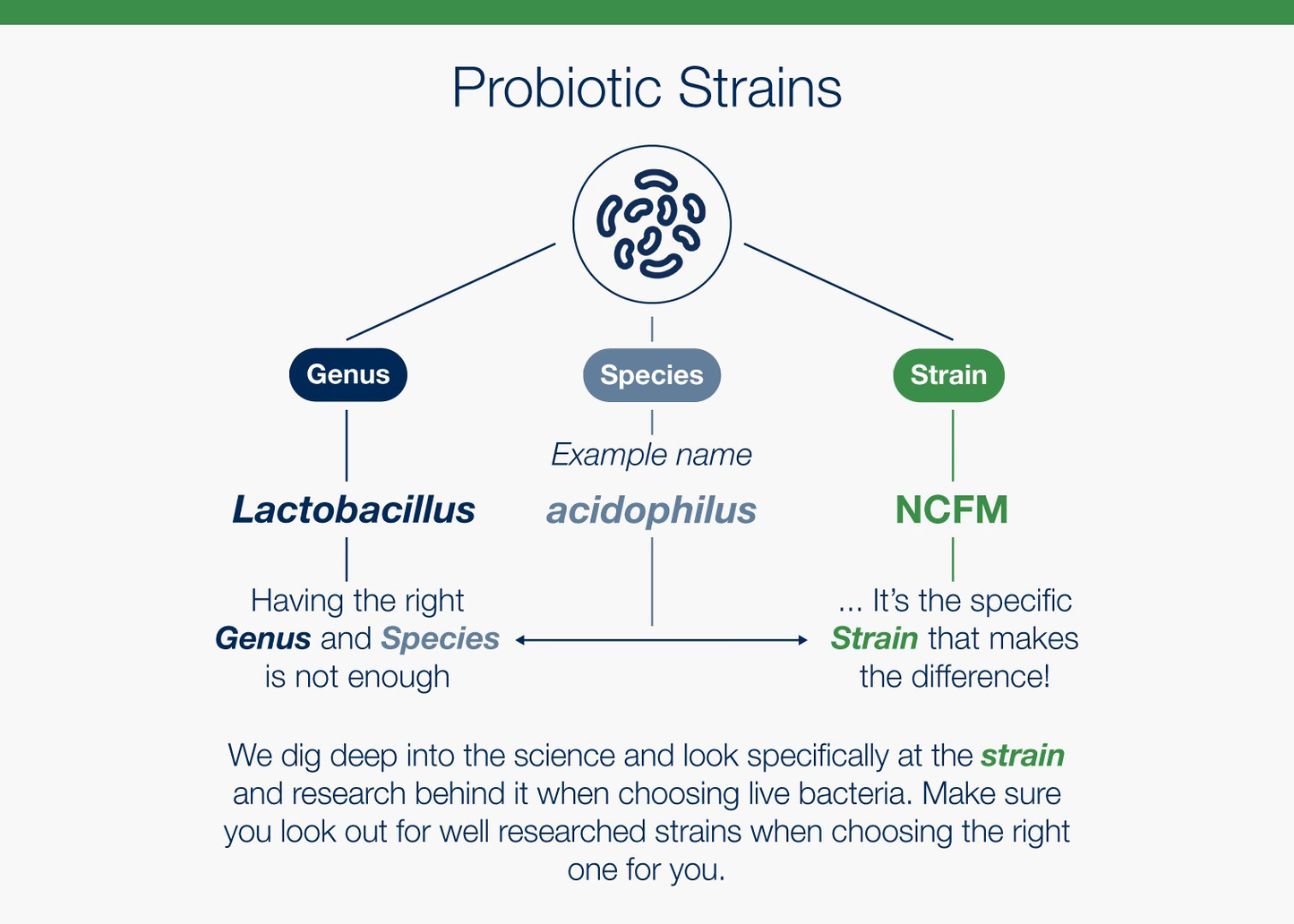 Information about probiotic strains