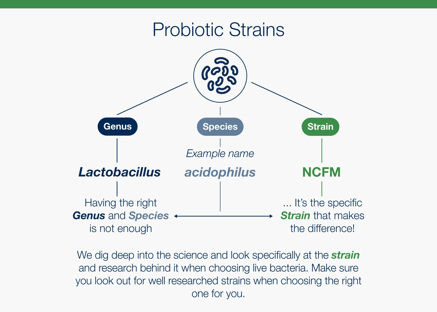 Information about probiotic strains