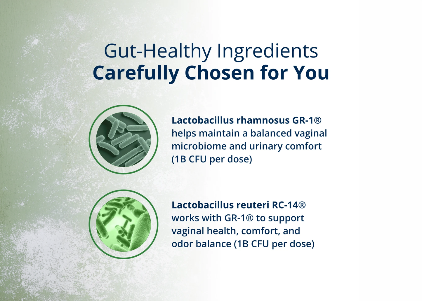 Information about carefully selected gut-friendly ingredients used in UltraFlora Women's Probiotic